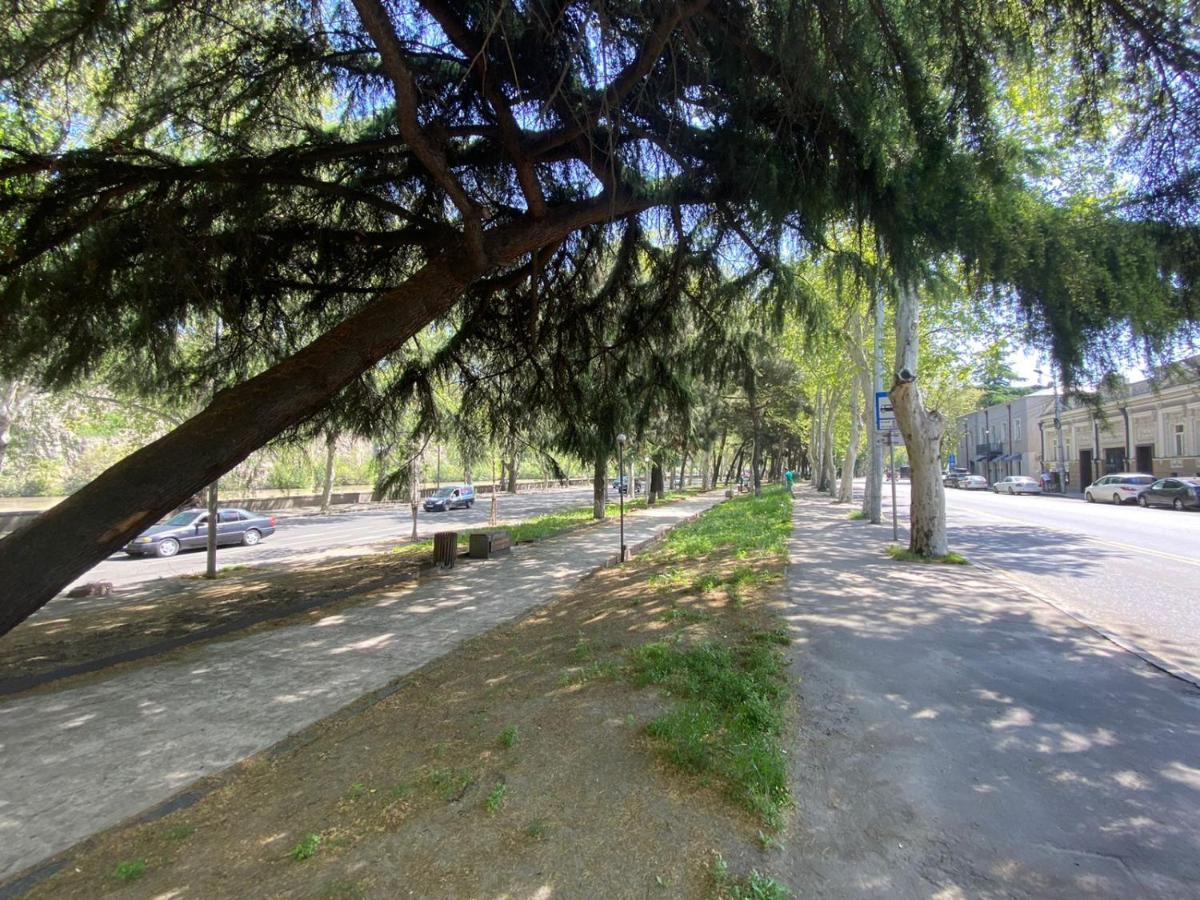 cozy apartment Tbilisi Zewnętrze zdjęcie